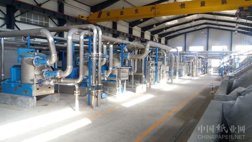科技创新驱动设备节能环保，惠利造纸业的环保转型
